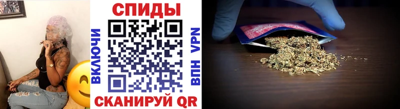 Бутират буратино  Сольцы 