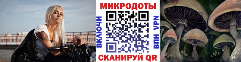 сколько стоит  blacksprut ТОР  Псилоцибиновые грибы Psilocybe  Сольцы 